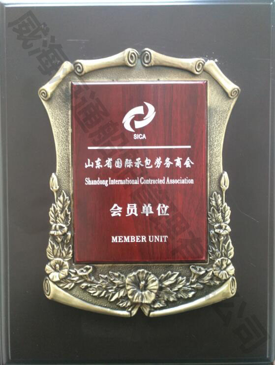 海通2020年3月份加入山東省國際勞務承包商會